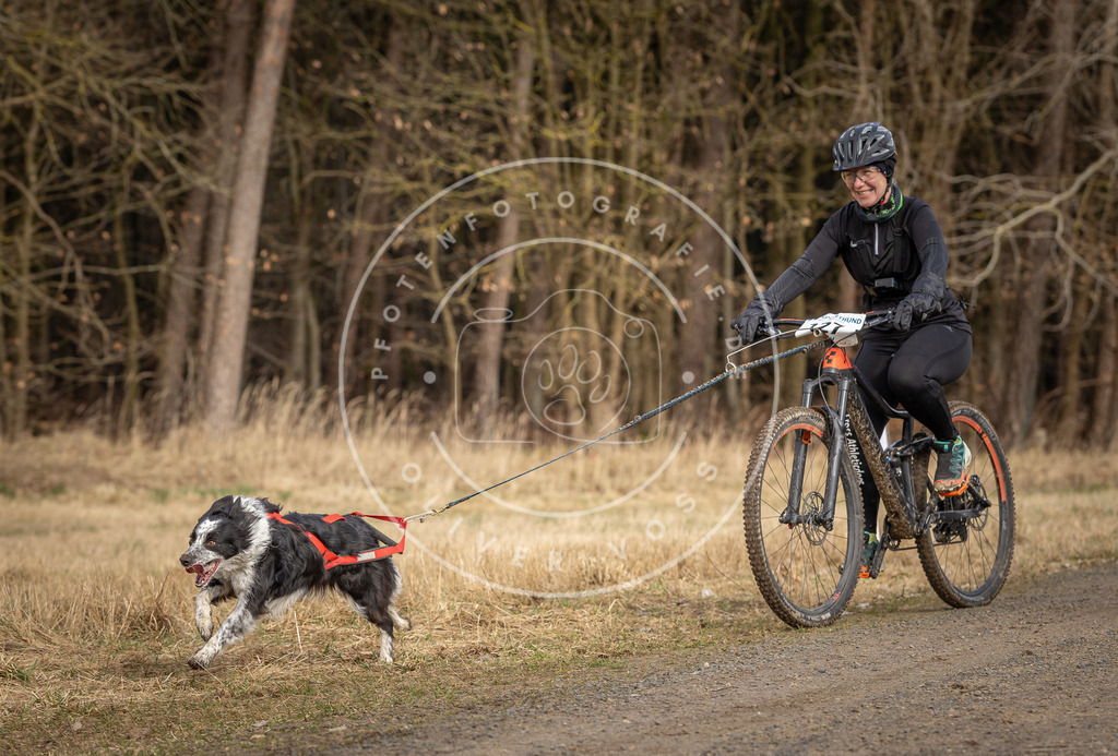 DV3A4553 | Hundefotografie, Tierfotograf, Pfotenfotografie, Fotoshooting Hund, Hunde Portrait, Hundesport, Hundeportraits, Heideshooting, Hunde, Sportfotograf, Hundefotograf, Turnierhundsport, THS,  - Realisiert mit Pictrs.com