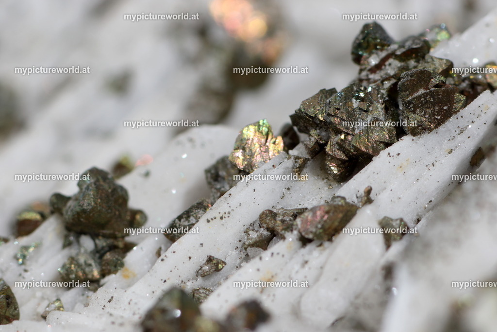 Pyrit-008 | Das Bilderarchiv über Tiere, Planzen und Landschaften. In der Bilddatenbank finden Sie ein große Auswahl an hochwertigen Bilder für Ihre Werbung - Realisiert mit Pictrs.com