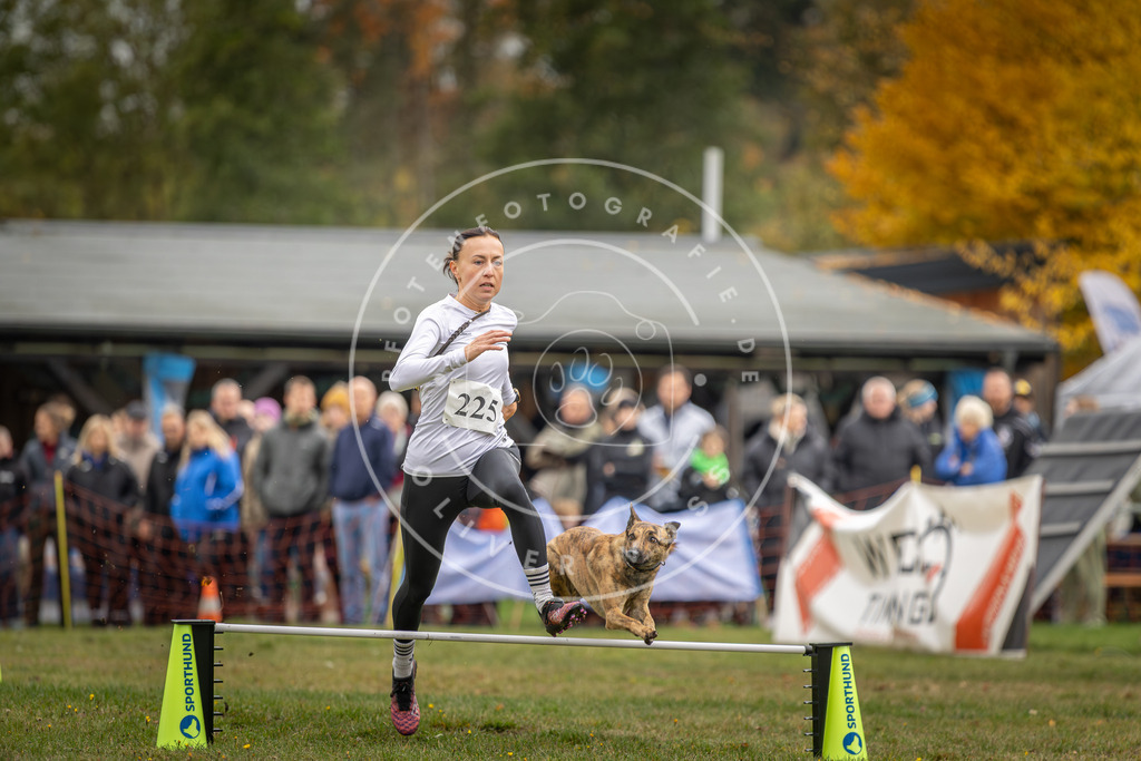 Pfotenfotografie_DV3A3163 | Hundefotografie, Tierfotograf, Pfotenfotografie, Fotoshooting Hund, Hunde Portrait, Hundesport, Hundeportraits, Heideshooting, Hunde, Sportfotograf, Hundefotograf, Turnierhundsport, THS,  - Realisiert mit Pictrs.com