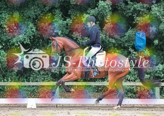 20250727_Dressurpferdeprfg_Kl.A-8 | JS-Photostyle - Sport-/Portrait- & Eventfotografie