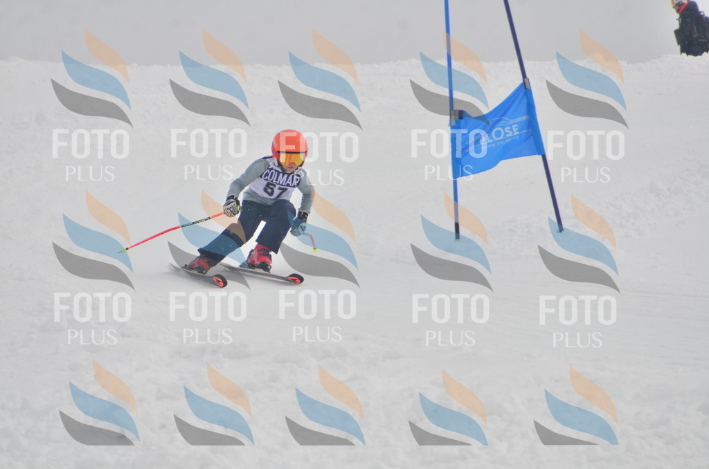 A5444 | holidayphoto