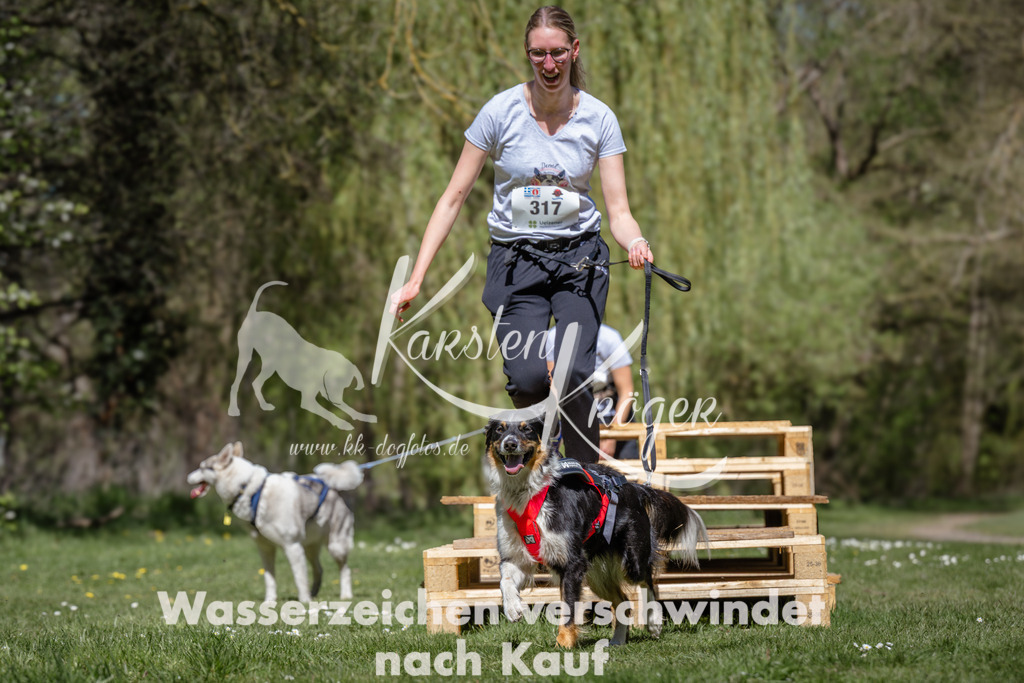 1223_ZZ91372 | kk-dogfotos