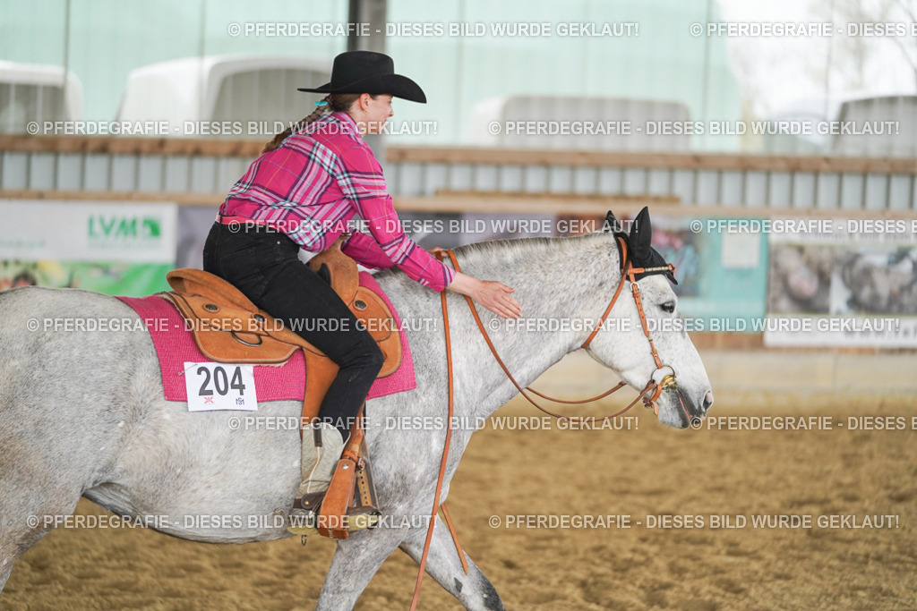 DSC04199 | Pferdegrafie