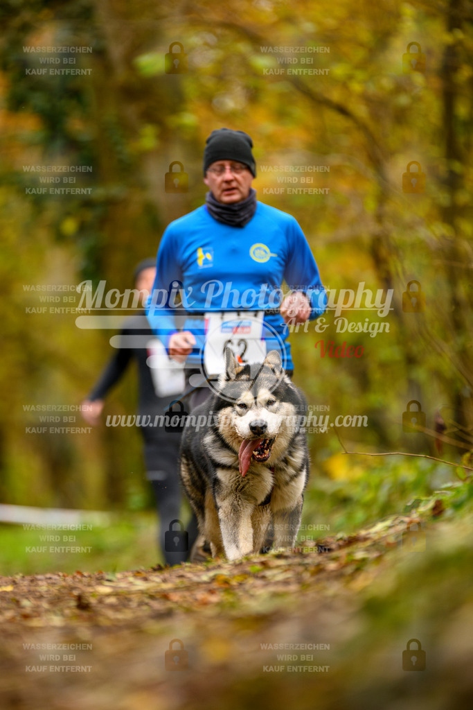 MompixPhotography_Bischwiller24_SA_Canicross-72 | PayLife