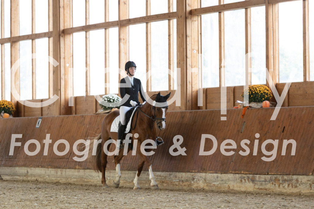 IMG_5776 | Creatify Fotografie