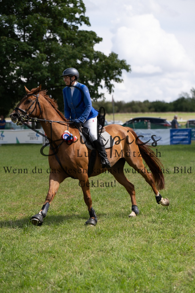 A7V04647 | Pferdefotograf