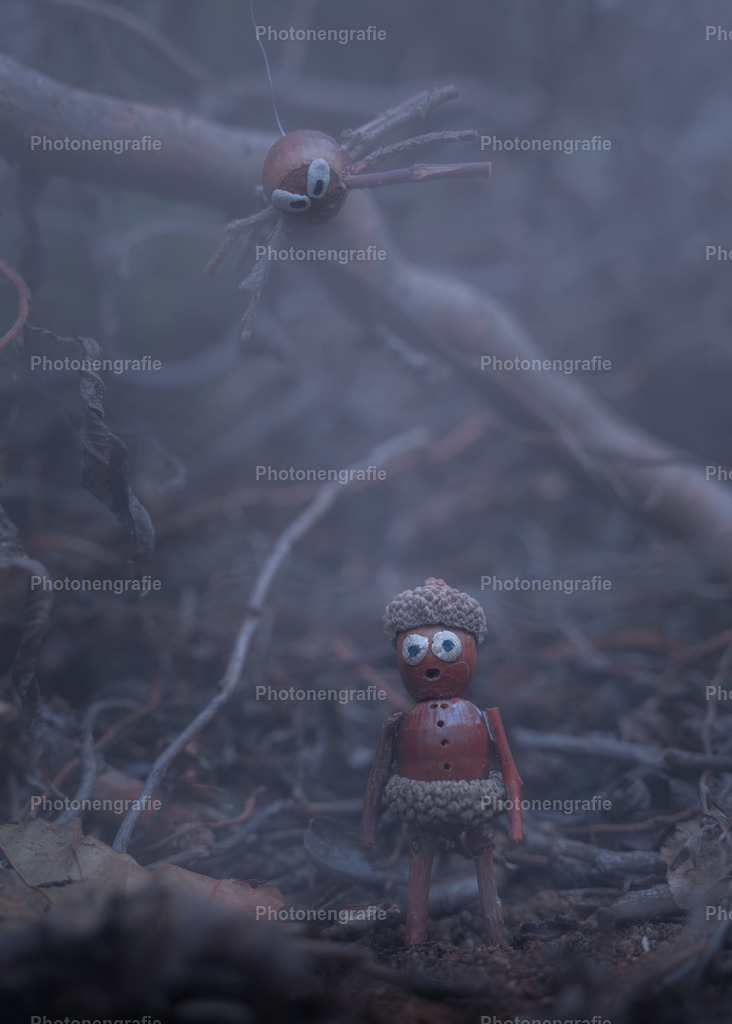 Manni-16 | Photonengrafie´s Shop - Realisiert mit Pictrs.com