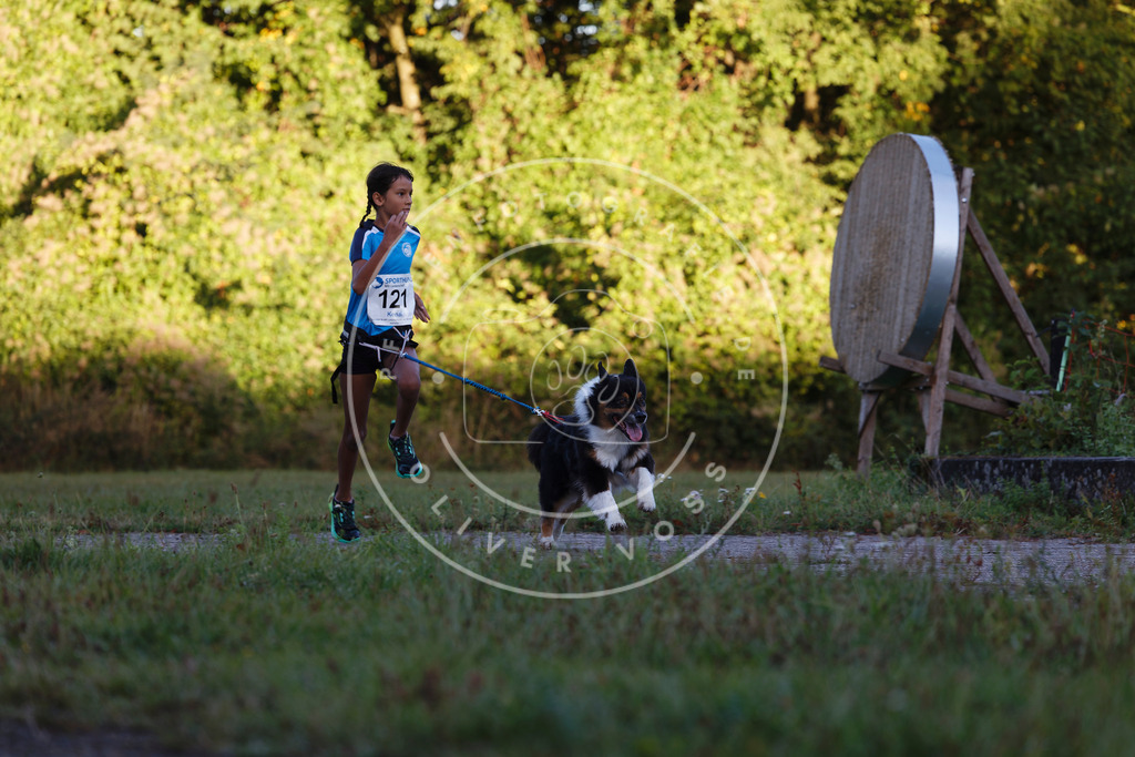 0L8A4346 | Hundefotografie, Tierfotograf, Pfotenfotografie, Fotoshooting Hund, Hunde Portrait, Hundesport, Hundeportraits, Heideshooting, Hunde, Sportfotograf, Hundefotograf, Turnierhundsport, THS,  - Realisiert mit Pictrs.com