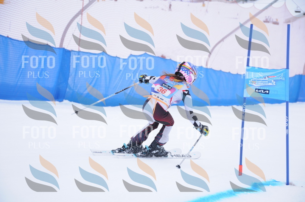 DSC_7827 | holidayphoto