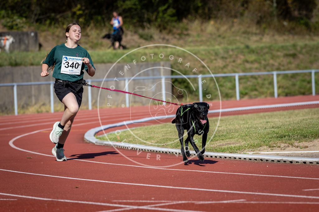Pfotenfotografie_DV3A8084 | Hundefotografie, Tierfotograf, Pfotenfotografie, Fotoshooting Hund, Hunde Portrait, Hundesport, Hundeportraits, Heideshooting, Hunde, Sportfotograf, Hundefotograf, Turnierhundsport, THS,  - Realisiert mit Pictrs.com