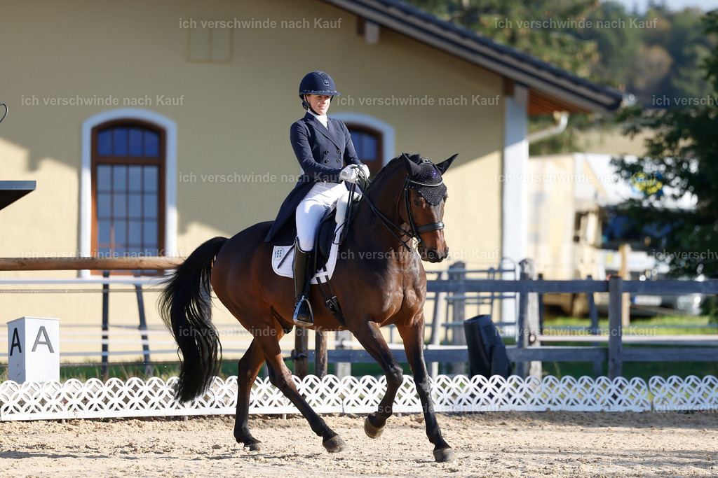 09_1-155-DRESSUR  S_  -StoibPH-5571 | working equitationturnier fotograf videograf stoibphotography marixx film working equitation deutschland reitsport turnierfotografie eventfotografie equestrian events