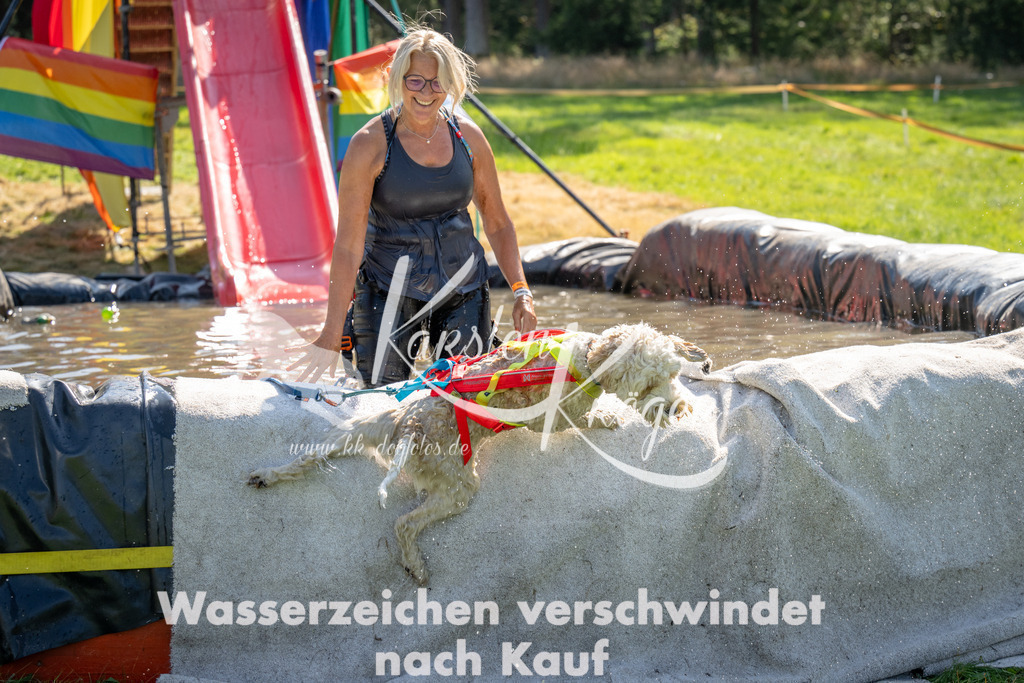 1453_ZZ92027 | kk-dogfotos