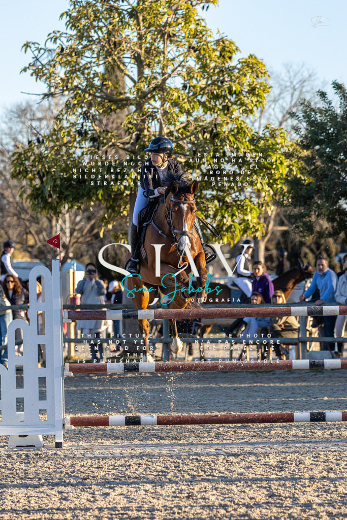 IMG_2896 | s-jay-photography - Realisiert mit Pictrs.com