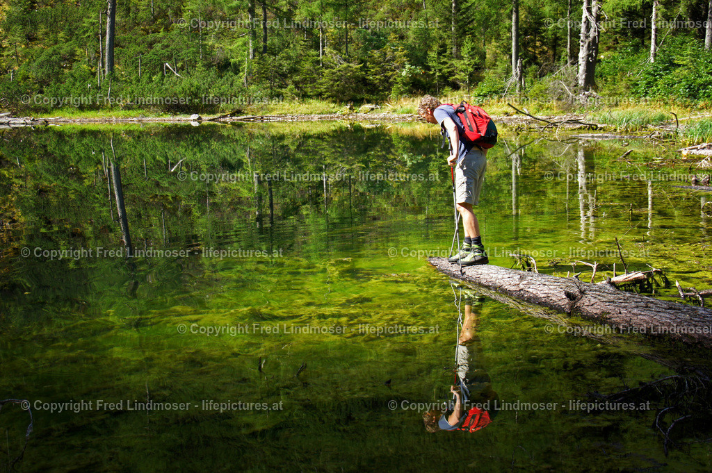 DSC05654zwei | SONY DSC - Realisiert mit Pictrs.com