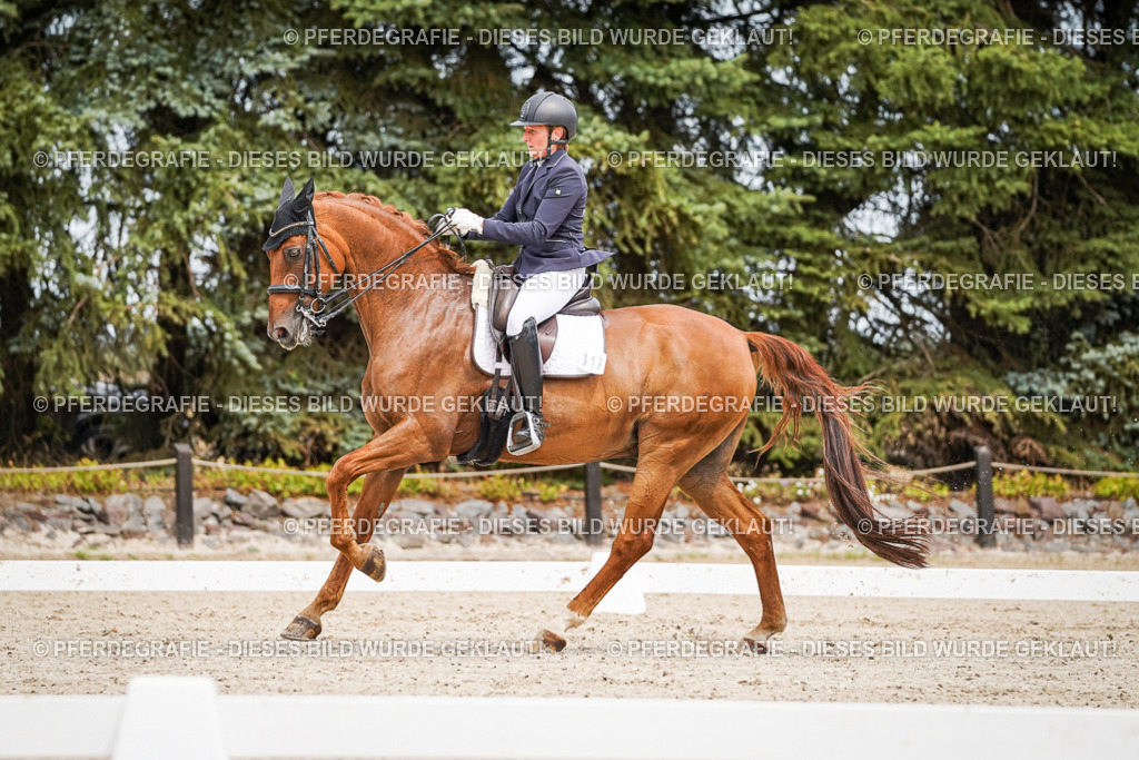 DSC04996 | Pferdegrafie