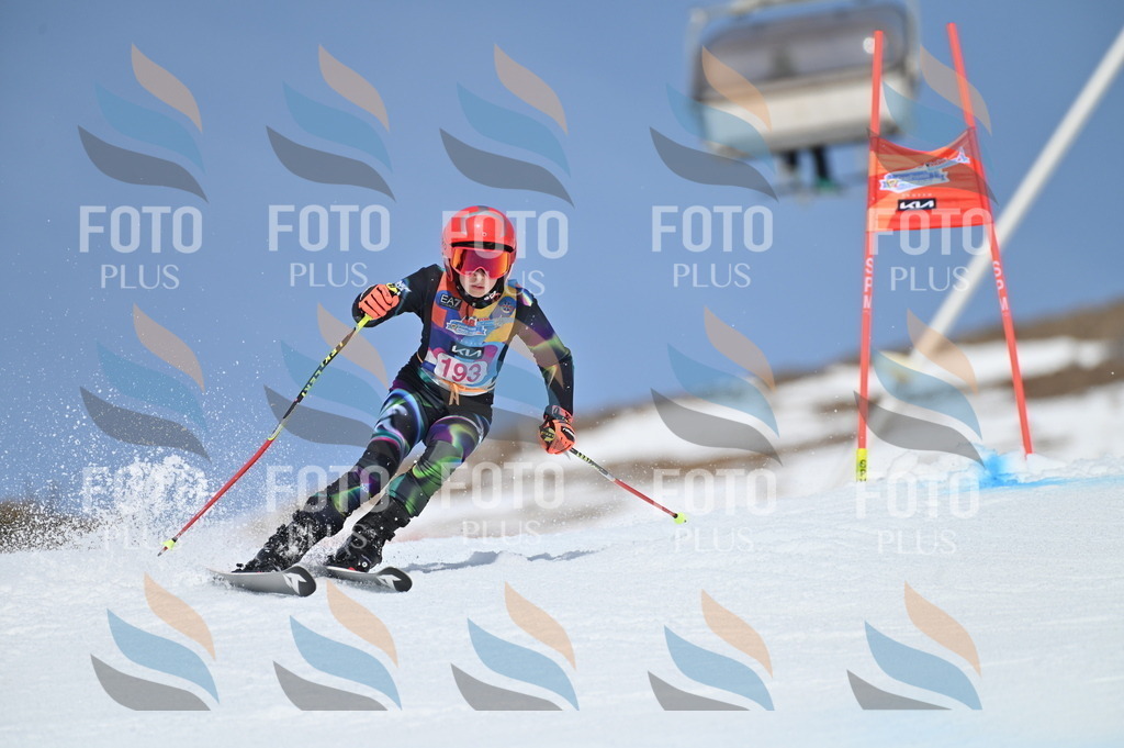 BGV_0858 | holidayphoto