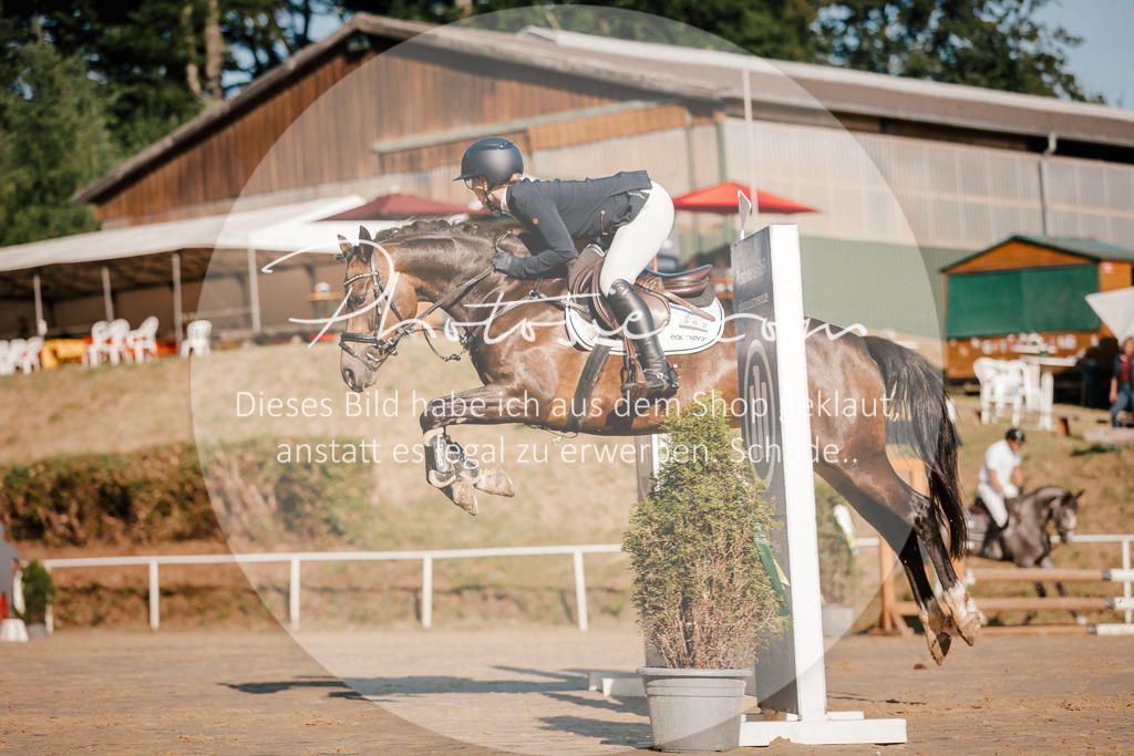 3I6A6272 | Stimmungsvolle Portraits und Reitsportfotografie im Ruhrgebiet und im Münsterland.

Pferdefotografie, Hundefotografie, Tierfotografie, Reportagen, Portraits von Tier und Mensch, Turnierfotografie in Bochum, Recklinghausen, Marl, Haltern am See, Dülmen.. - Realisiert mit Pictrs.com