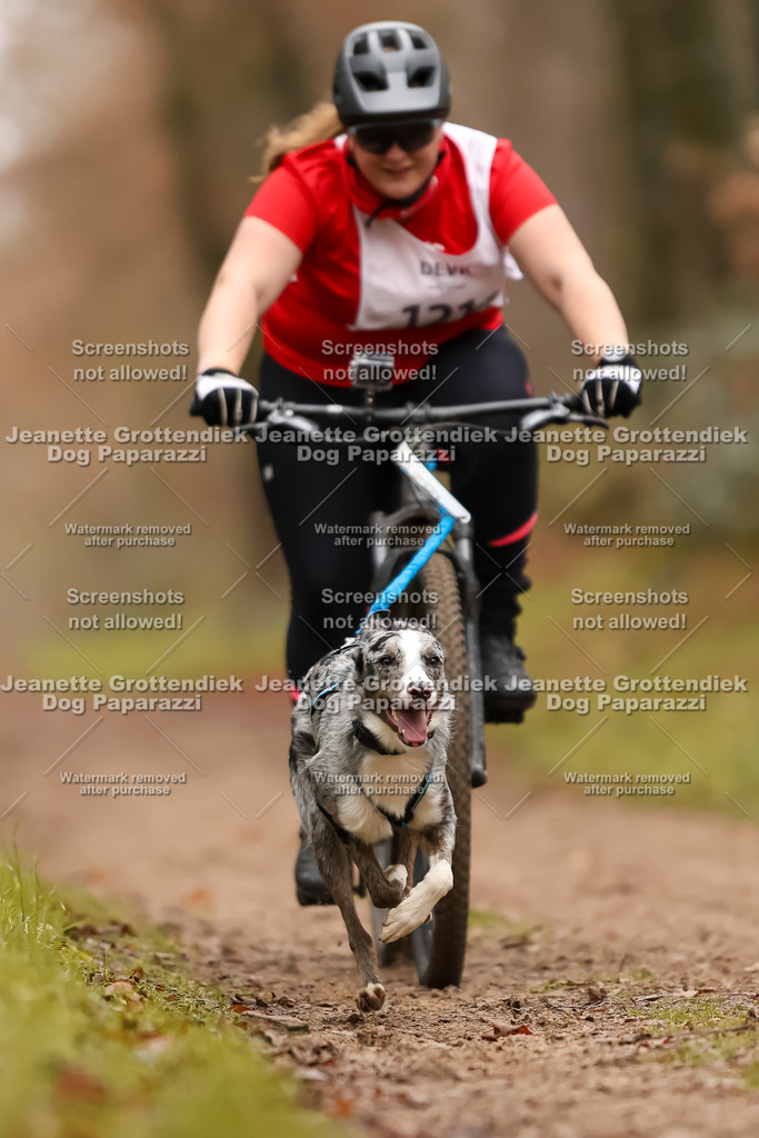 Dog Paparazzi - Speedhunter Mannheim  2025-337 | Dog Paparazzi Jeanette Grottendiek Fotografie & Videografie