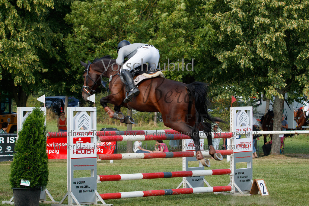 IMG_3703 | P. Berger Fotografie - Realisiert mit Pictrs.com