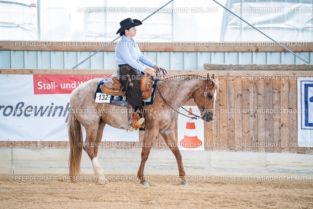 DSC08154 | Pferdegrafie