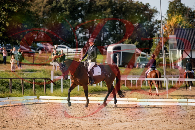 2026_10_03_Siefer-Hof_122848_Z63_49247180 | Professionelle Reitsport-, Turnier- und Eventfotografie von Robert Broda. Galerien mit ausgewählten und bearbeiteten Bildern direkt online ansehen und bestellen.