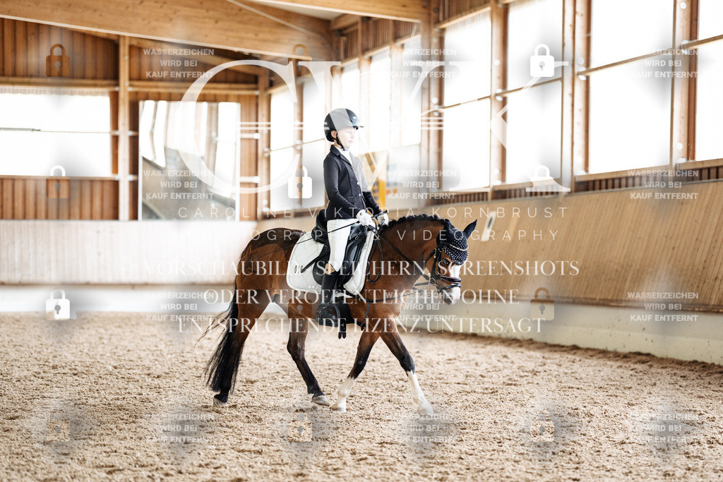 CK901388 | Turnierfotografie Pferdefotografie Trier Rheinland-Pfalz Pferdesport Reitsport Tierfotografie Sportfotografie Pferdevideo Pferdevideografie Equestrianvideography equestrianphotography  - Realisiert mit Pictrs.com