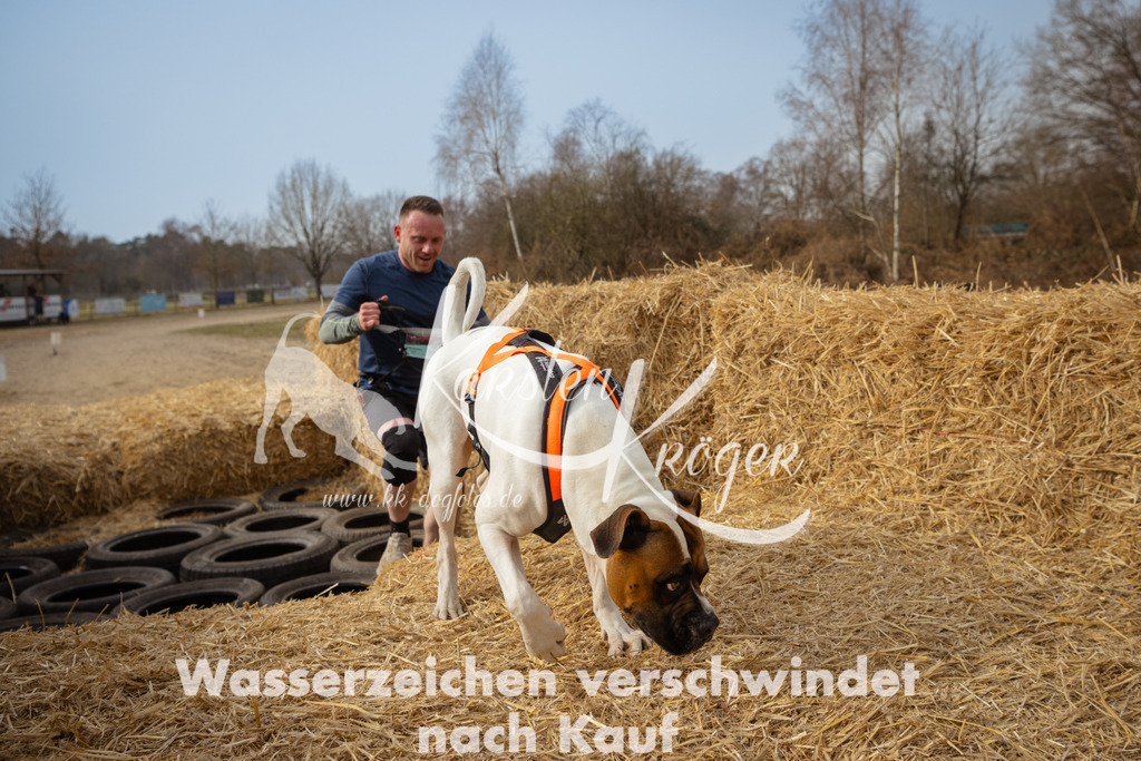 1112_ZZ92261 | kk-dogfotos
