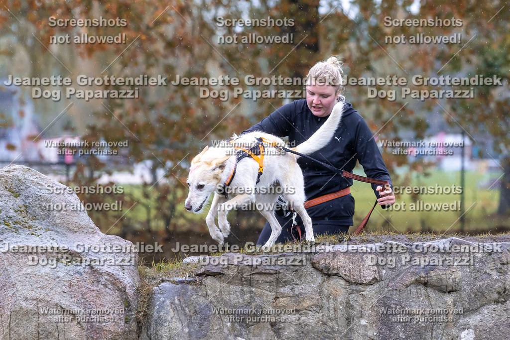 Dog Paparazzi - SD CaniX Championship 2025-743 | Dog Paparazzi Jeanette Grottendiek Fotografie & Videografie - Realisiert mit Pictrs.com