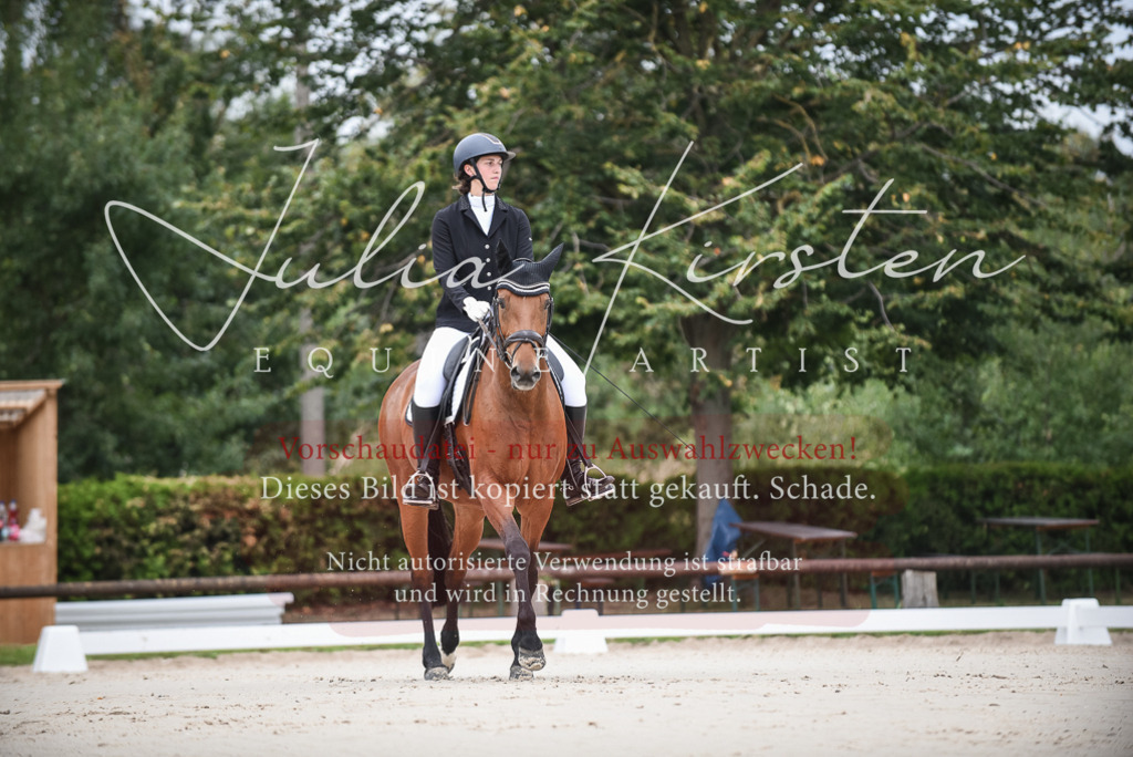 DSC_7945 | Pferde- und Turnierfotografie in Westsachsen. Pferdeportraits, Auftragszeichnungen und intuitive Kunst.