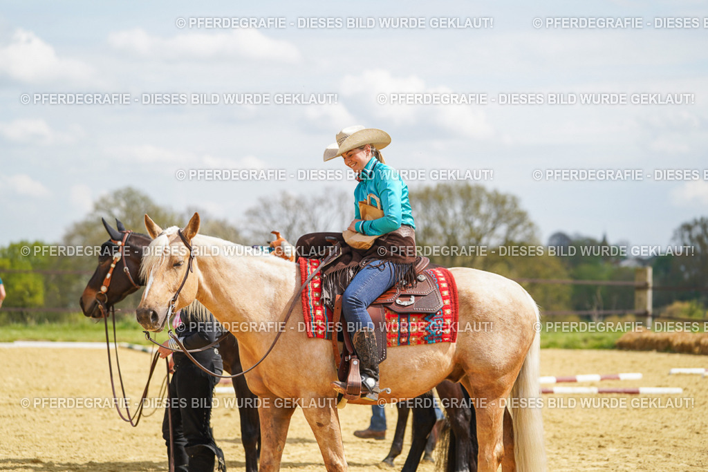 DSC05454 | Pferdegrafie