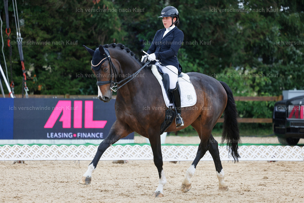 05-244-DRESSUR M_  -StoibPH-4904 | working equitationturnier fotograf videograf stoibphotography marixx film working equitation deutschland reitsport turnierfotografie eventfotografie equestrian events