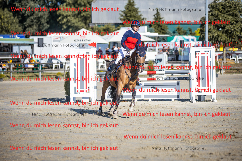 BK1A6034 | Turnierbilder Turnierfotos Nina Hüffmann Turnierfotografie Pferdefotografie Tierzeichnung Haustierzeichnung Pferdezeichnung Hundezeichnung Videograf  - Realisiert mit Pictrs.com