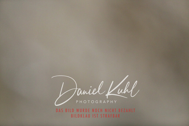 IMG_3196 | Turniersportfotografie; Pferdefotografie; Dressurfotografie