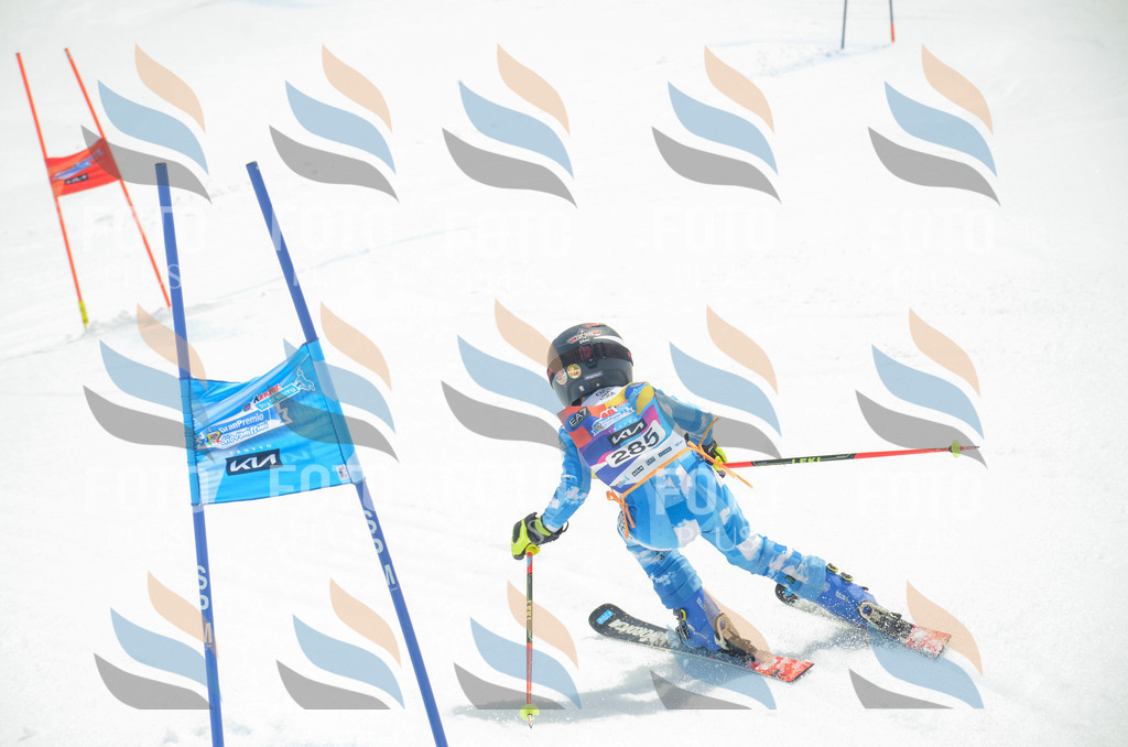 _ELE8017 | holidayphoto