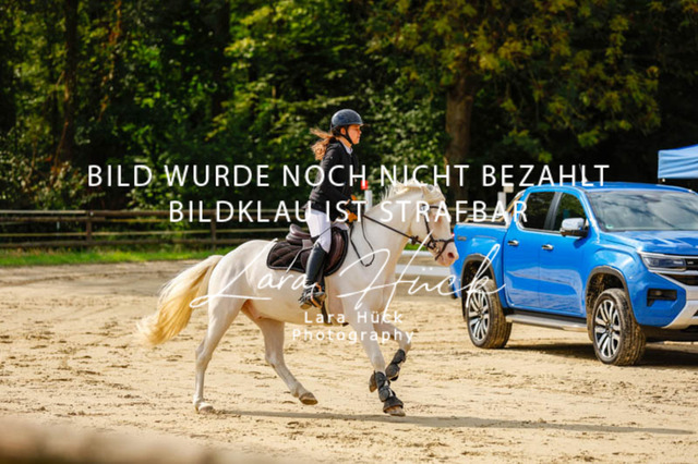 _62_9092 | larahueckfotografie