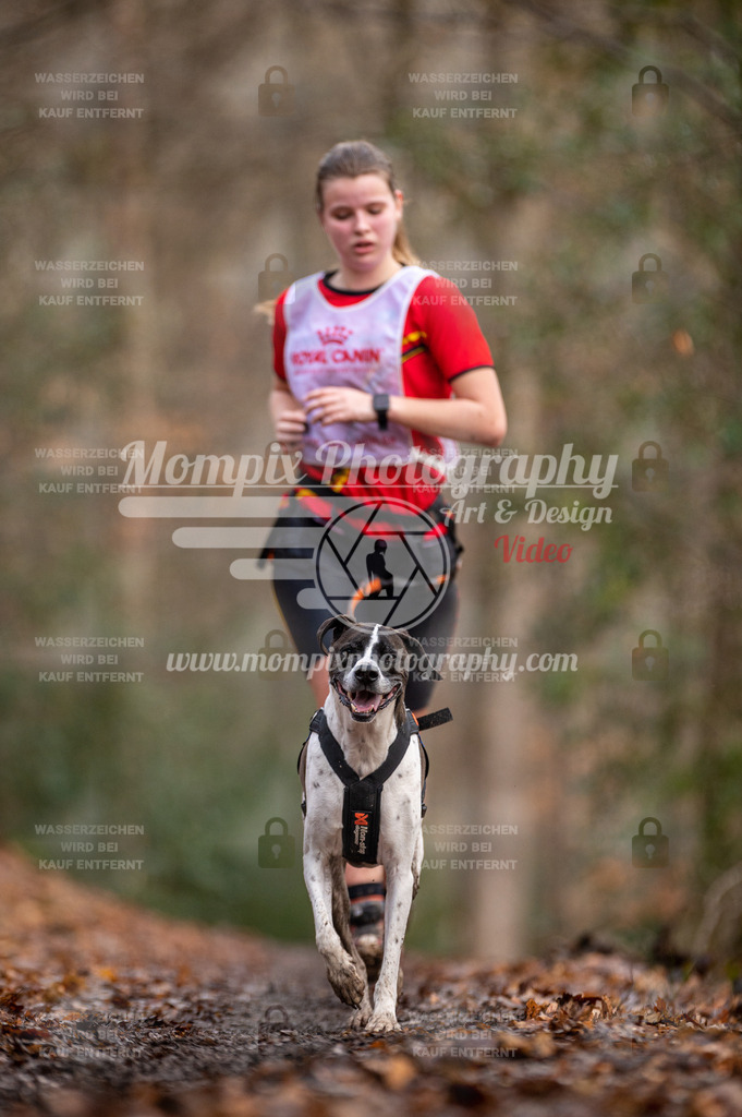 SPA_2023_DIM_CCL-161 | PayLife