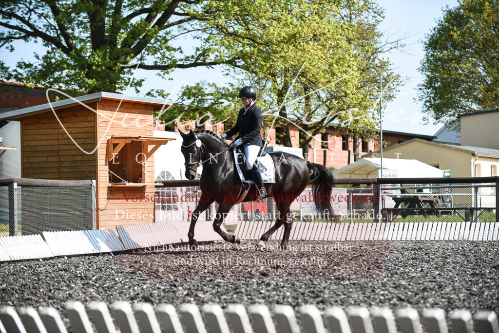 DSC_8624 | Pferde- und Turnierfotografie in Westsachsen. Pferdeportraits, Auftragszeichnungen und intuitive Kunst.