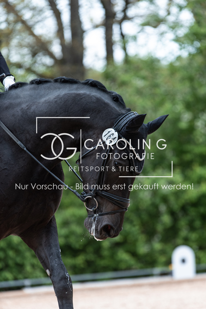 DSC_7795 | Turnierfotografin Carolin Gieschke, Turnierfotografie Carolin G Fotografie, Turnierfotos Kirchheim/Teck, Esslingen, Stuttgart, Bodenseekreis