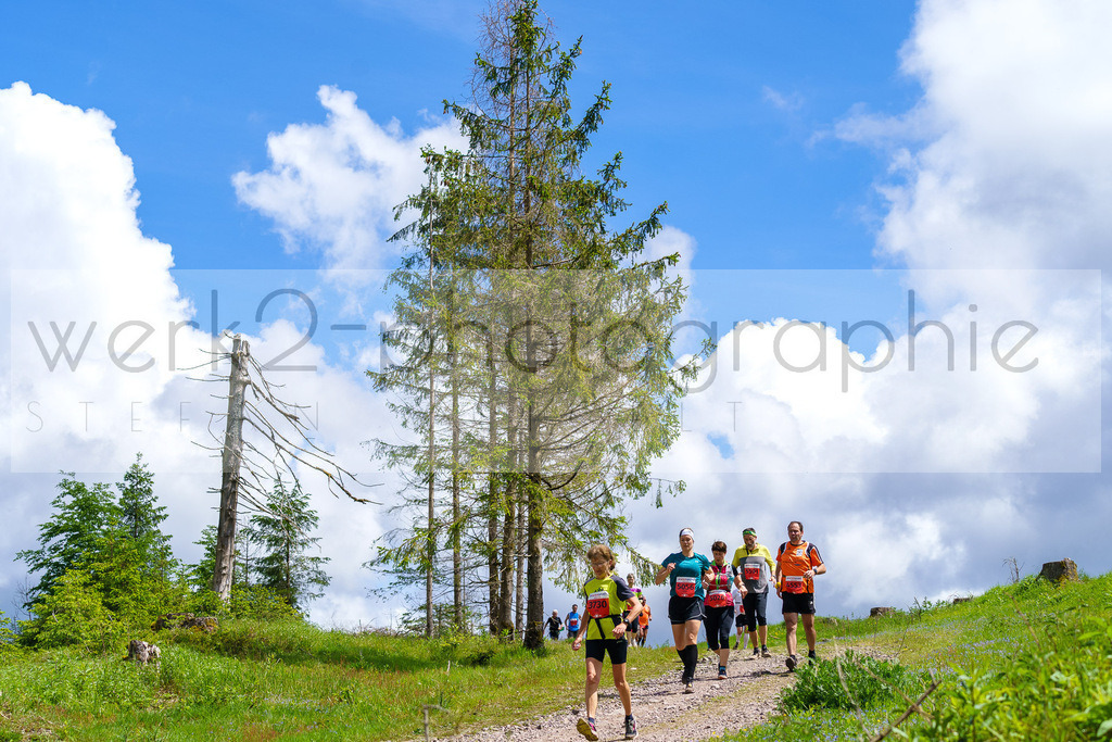 Rennsteiglauf Marathon 2024 | 25. Mai 2024 - 42,2 km von Neuhaus nach Schmiedefeld