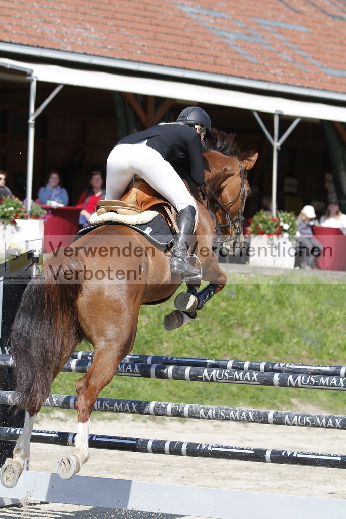 _MG_9534 | equestrian-live-com