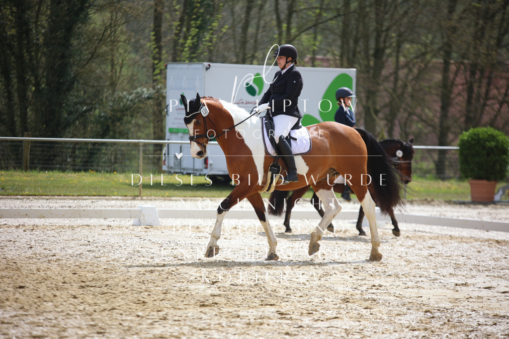 IMGT3762 | pl-fotografie