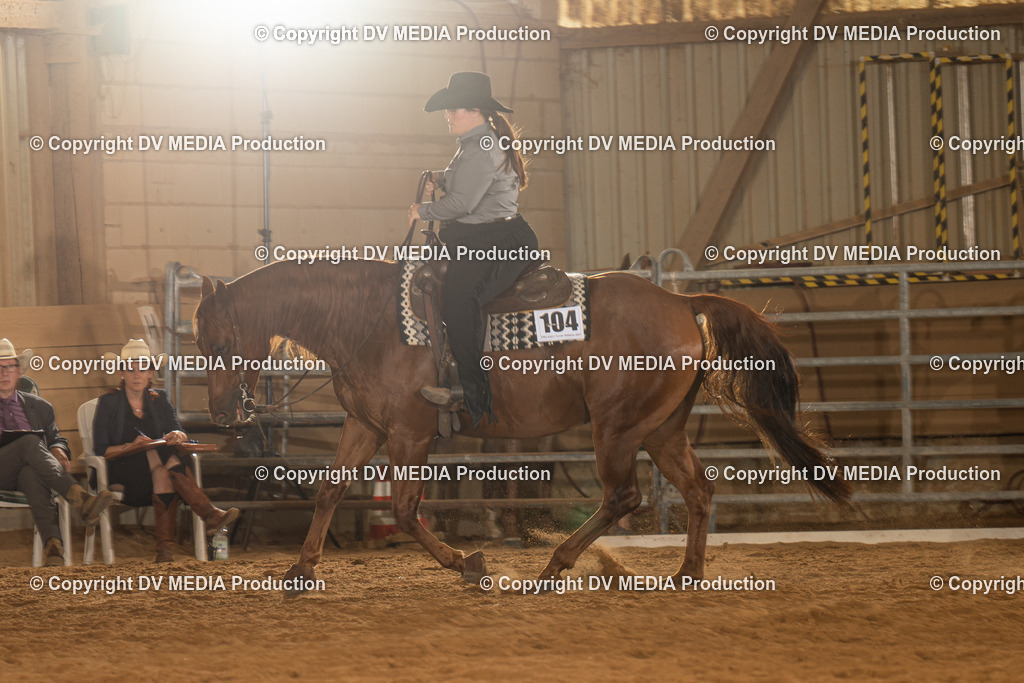 NID01438 | dv-media-shop - Realisiert mit Pictrs.com