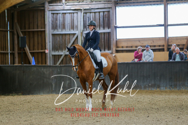 IMG_0458 | Turniersportfotografie; Pferdefotografie; Dressurfotografie