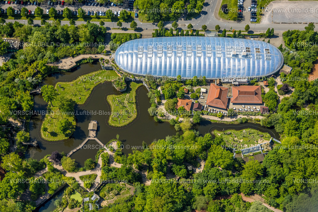 Gelsenkirchen230511331 | Luftbild, ZOOM Erlebniswelt Zoo, Eventhalle, Bismarck, Gelsenkirchen, Ruhrgebiet, Nordrhein-Westfalen, Deutschland
