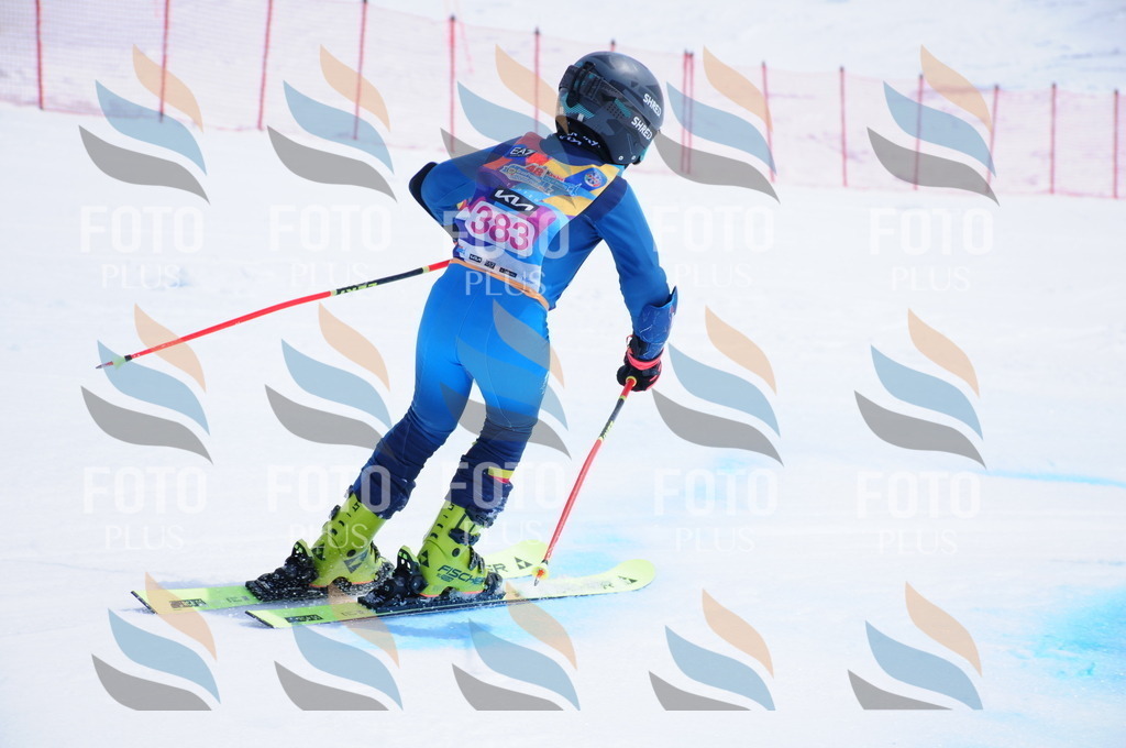 DSC_7454 | holidayphoto