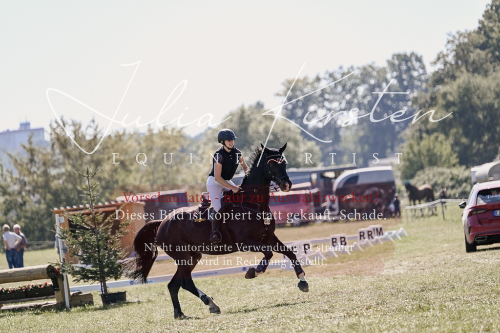 DSC_2888 | Pferde- und Turnierfotografie in Westsachsen. Pferdeportraits, Auftragszeichnungen und intuitive Kunst.