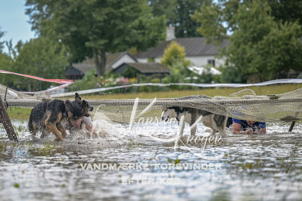 1327_ZZ91266 | kk-dogfotos