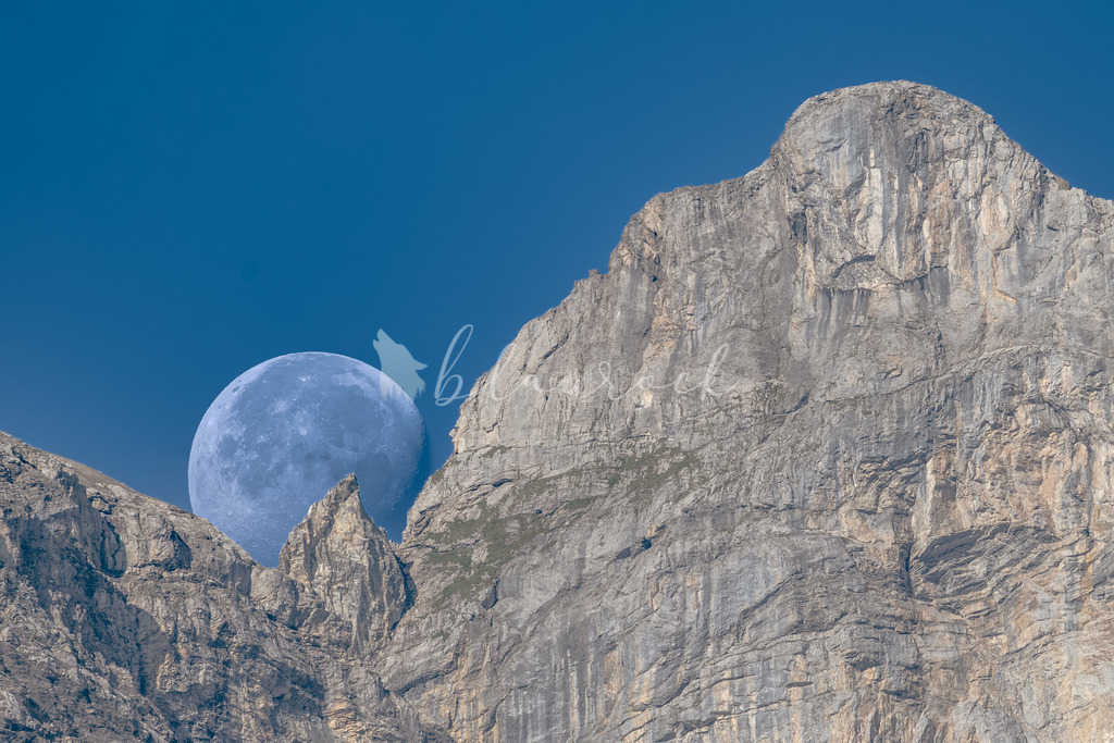 Mond-20 | Sportbilder, Sportfotograf, Hochzeits- und Eventfotografin, Flugshows, Portraits und Tiershooting, Aviation, Downhill, Nationalleague, Swissleague, International