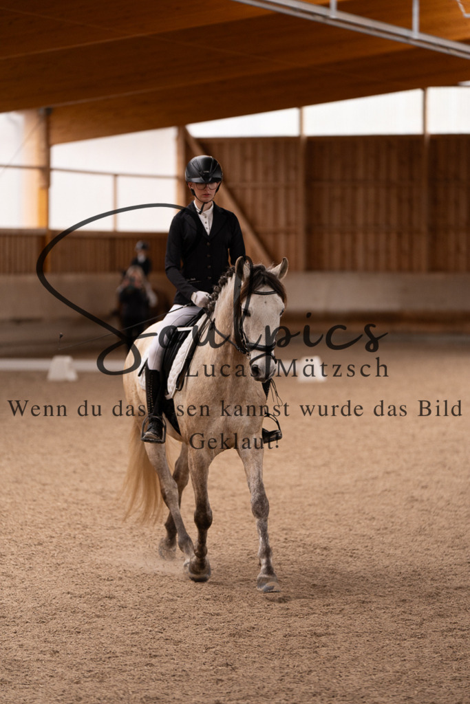 A7506974 | Turnier/Reitfotograf