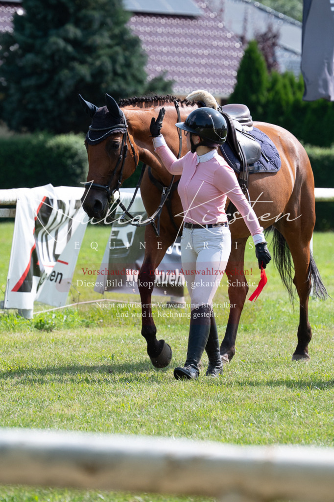 DSC_0734 | Pferde- und Turnierfotografie in Westsachsen. Pferdeportraits, Auftragszeichnungen und intuitive Kunst.